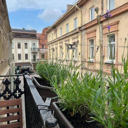 Old Town Apartment Kaunas Luaran gambar