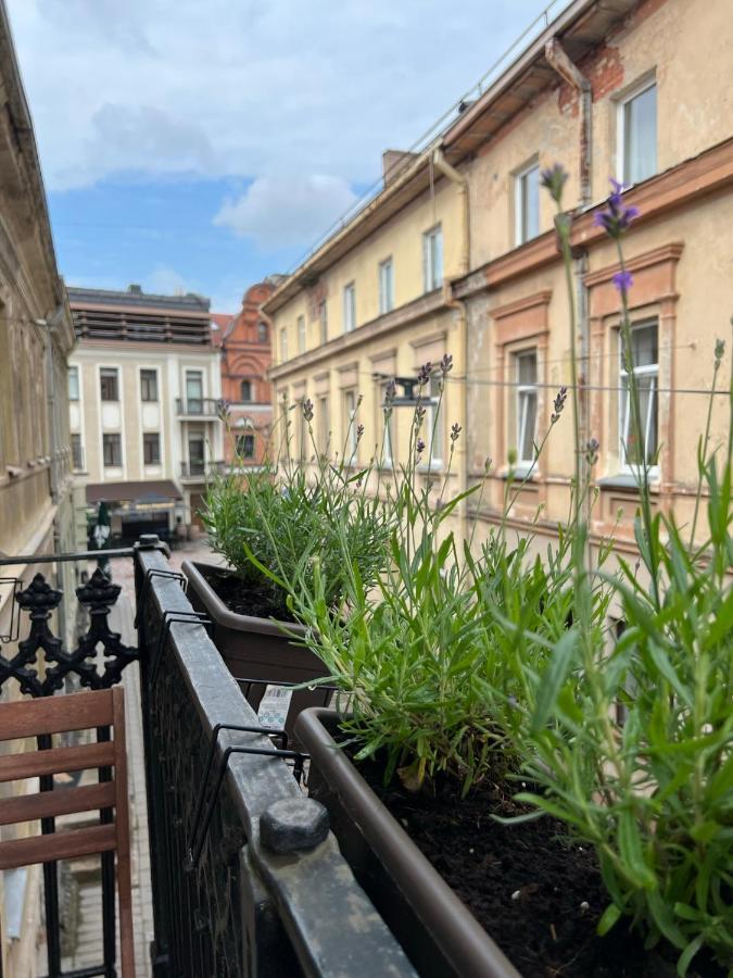 Old Town Apartment Kaunas Luaran gambar